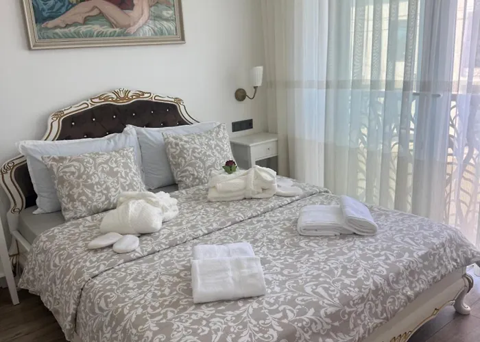 别墅 House Pati 布里比尔